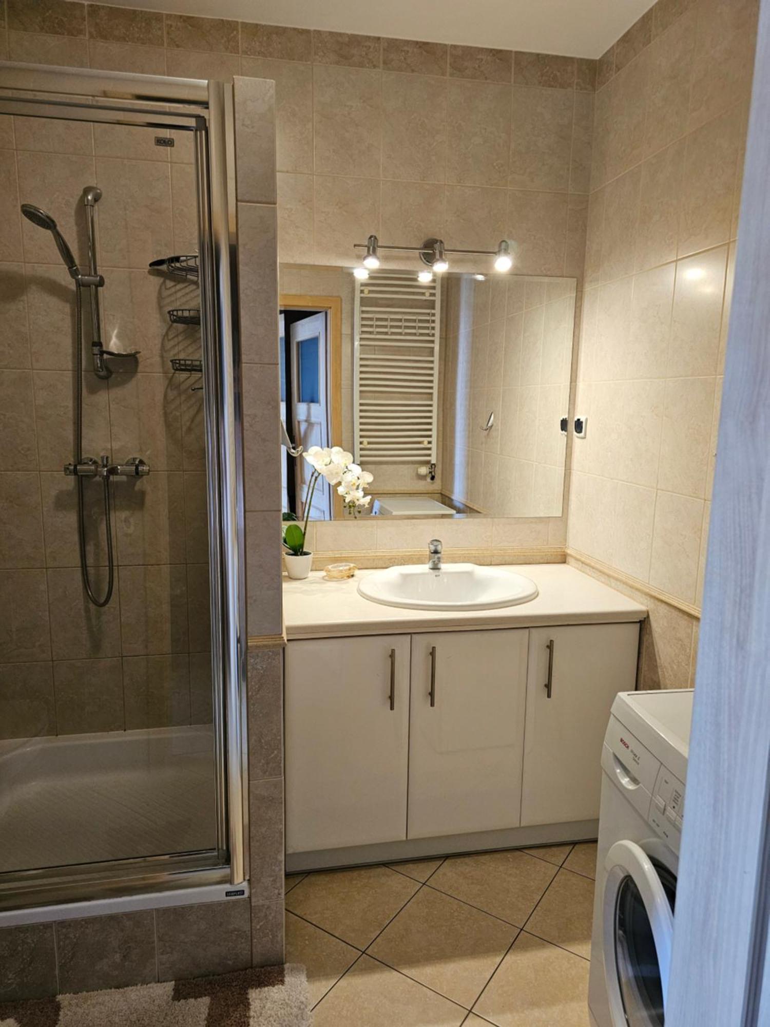 Z Garazem Apartment *