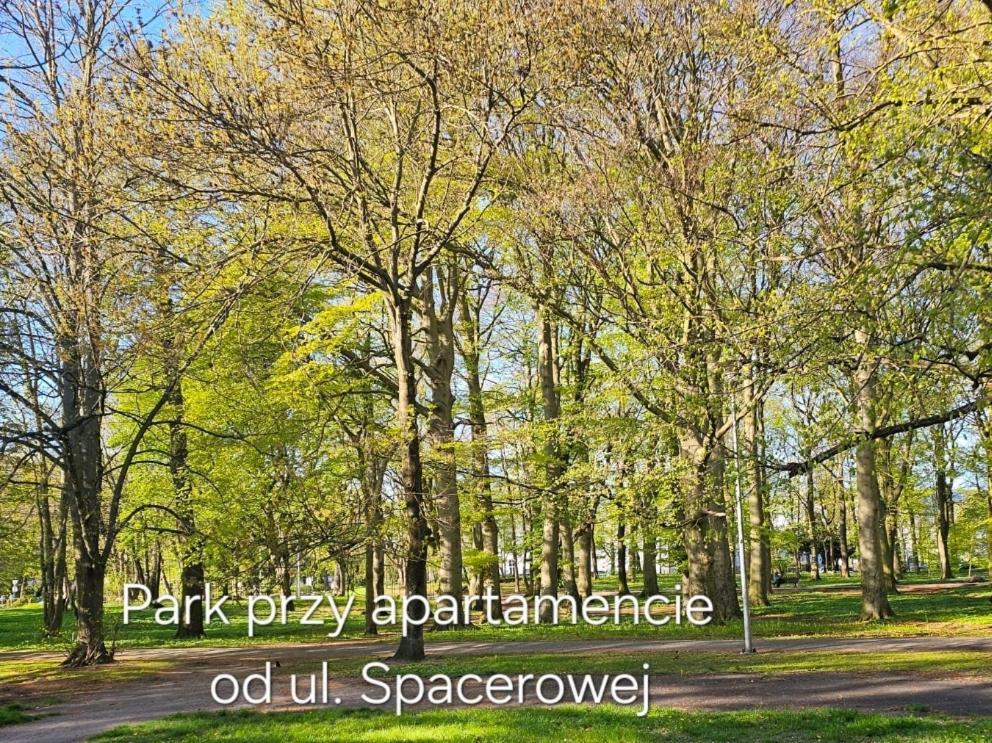Apartment Z Garazem *